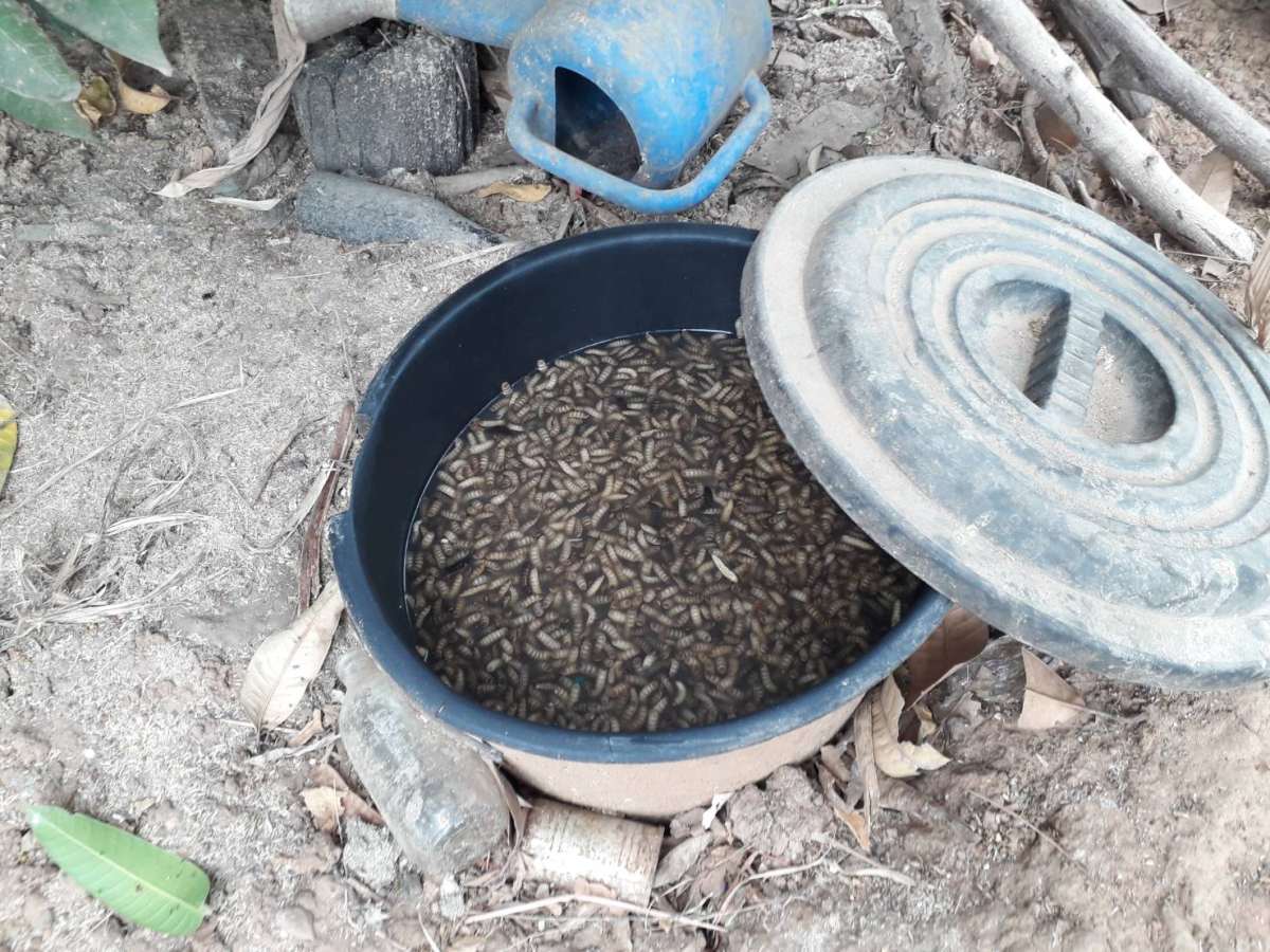 เรื่อง  แผนปฏิบัติการเชิงกลยุทธแนวใหม่  RE-X-RAY  โครงการถังขยะเปียกลดโลกร้อน ฯ