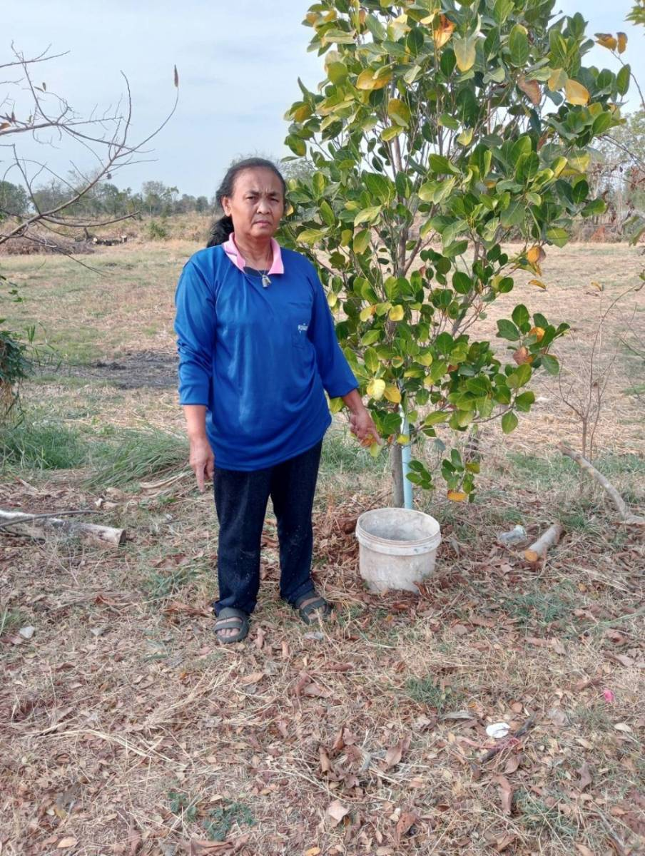 การจัดการขยะเปียกลดโลกร้อน