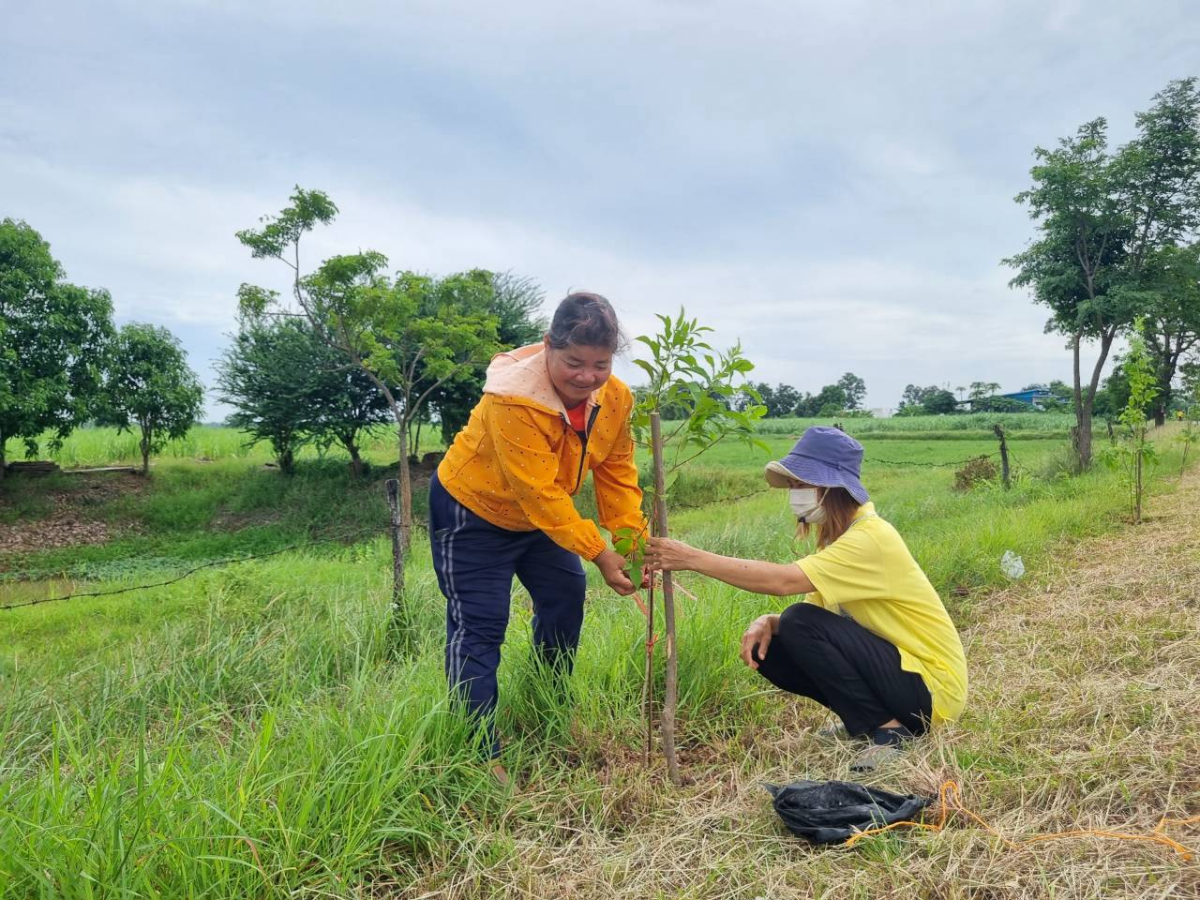 โครงการปรับปรุงภูมิทัศน์และพัฒนาสิ่งแวดล้อมตำบลเมืองนาท  เพื่อเทิดพระเกียรติพระบาทสมเด็จพระเจ้าอยู่หัว (ร.10)