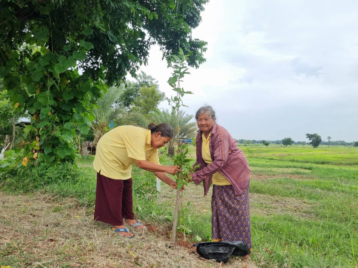 โครงการปรับปรุงภูมิทัศน์และพัฒนาสิ่งแวดล้อมตำบลเมืองนาท  เพื่อเทิดพระเกียรติพระบาทสมเด็จพระเจ้าอยู่หัว (ร.10)