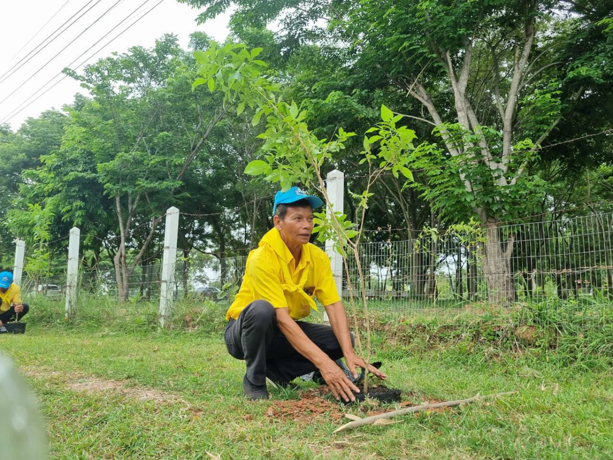 โครงการปรับปรุงภูมิทัศน์และพัฒนาสิ่งแวดล้อมตำบลเมืองนาท  เพื่อเทิดพระเกียรติพระบาทสมเด็จพระเจ้าอยู่หัว (ร.10)