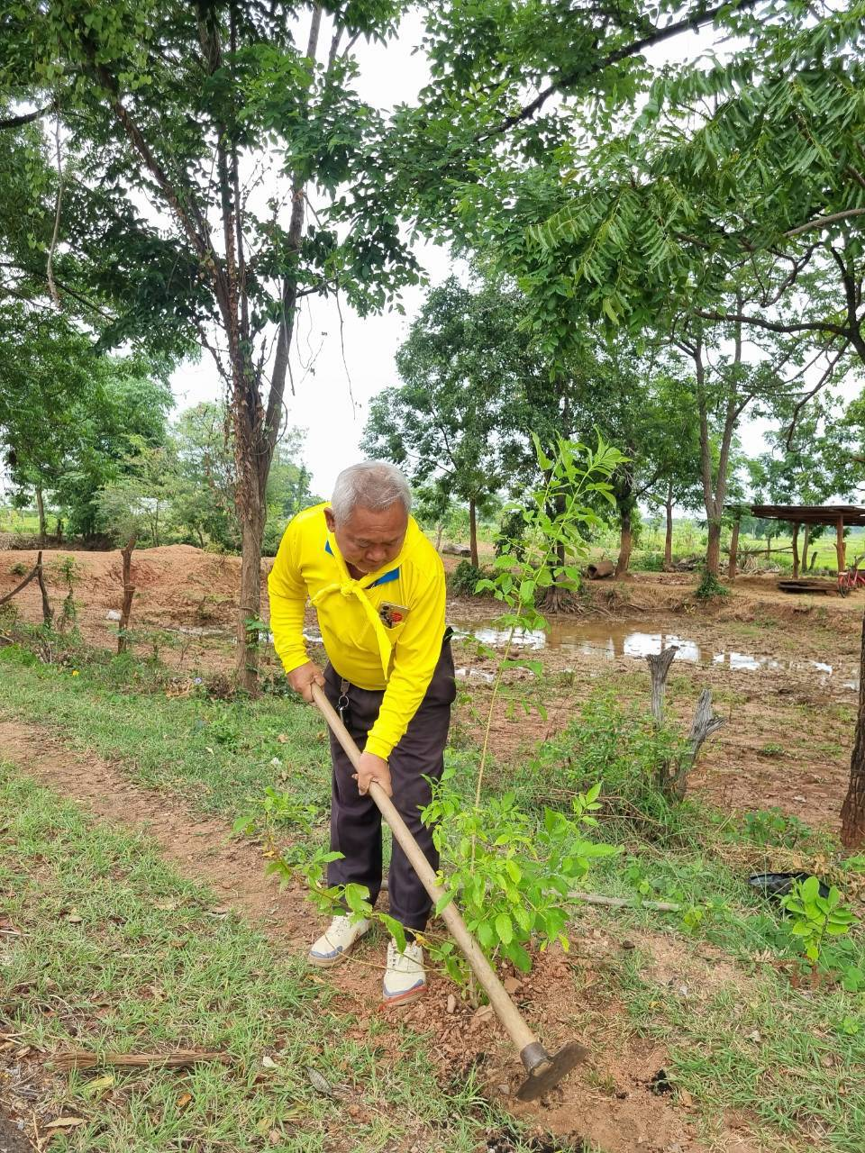 โครงการปรับปรุงภูมิทัศน์และพัฒนาสิ่งแวดล้อมตำบลเมืองนาท  เพื่อเทิดพระเกียรติพระบาทสมเด็จพระเจ้าอยู่หัว (ร.10)